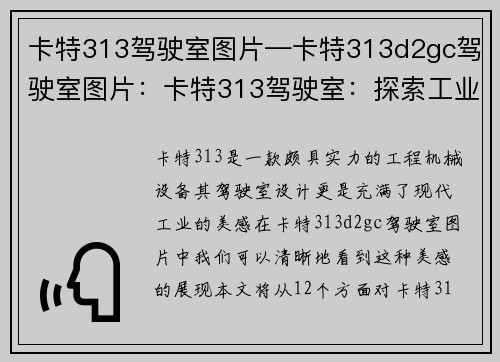 卡特313驾驶室图片—卡特313d2gc驾驶室图片：卡特313驾驶室：探索工业之美